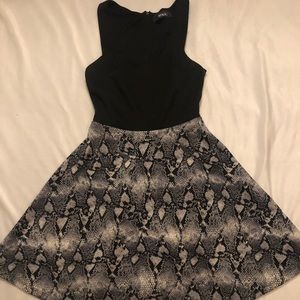 Snakeskin Skater Dress